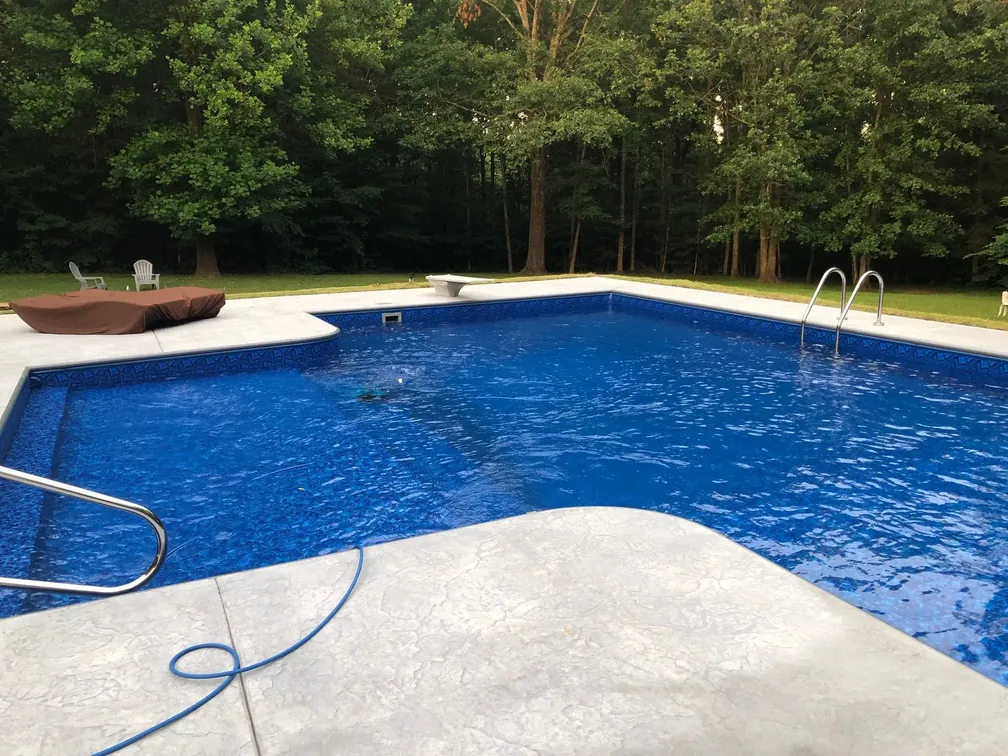 Carolina Arctic installation 5